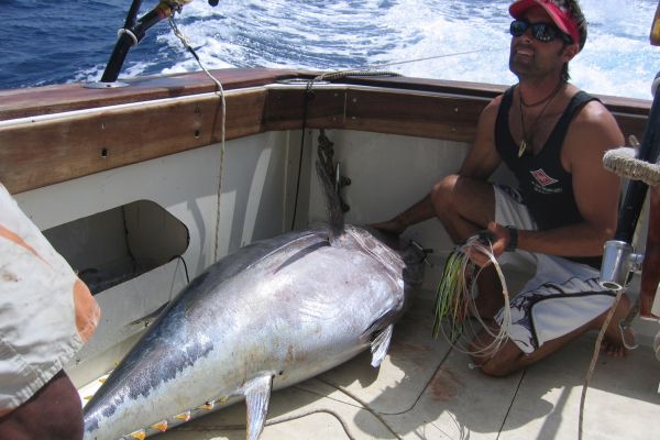 Big yellowfin tuna