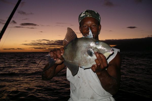 Angler mit grauem Drückerfisch in Kap Verde