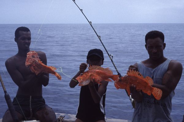 Joe, Elvis and Toni with redfish in Cape Verde