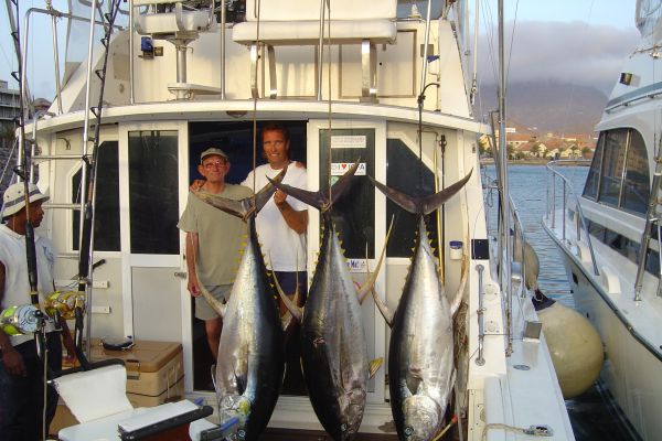 Drei schöne Thunfische in Kap Verde