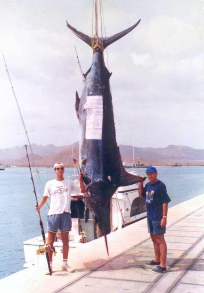 1998 Blue-Marlin-Rekord 1093lbs. Bis dahin größter jemals gefangener Marlin in Kap Verde. Weltweit wurde 1998 kein größerer Marlin gefangen.