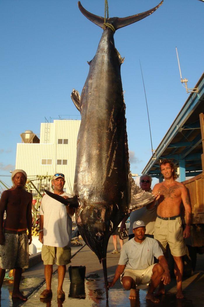 2006: Blue Marlin mit 1241 Pfund, ein Super-Grander